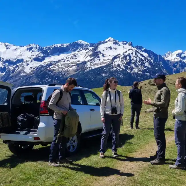 Grupo de adultos preparando una excursión junto a un Land Rover 4x4 blanco en el Valle de Aran con montañas nevadas al fondo.