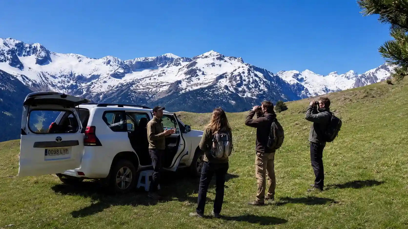 Tour 4x4 Valle de Aran · Observación de fauna Grupo observando fauna con prismáticos junto a un Land Rover 4x4 blanco en una pradera del Valle de Aran.